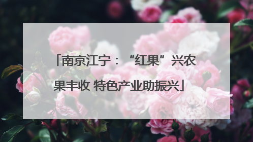 南京江宁：“红果”兴农果丰收 特色产业助振兴
