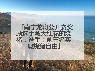 南宁龙舟公开赛奖励选手戴大红花的烧猪，选手：前三名实现烧猪自由