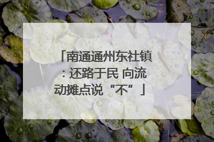 南通通州东社镇：还路于民 向流动摊点说“不”