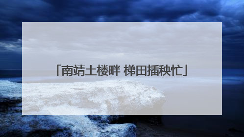 南靖土楼畔 梯田插秧忙