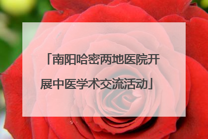 南阳哈密两地医院开展中医学术交流活动