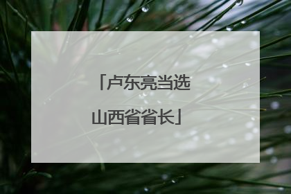 卢东亮当选山西省省长