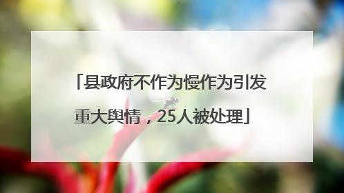 县政府不作为慢作为引发重大舆情，25人被处理