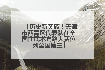 历史新突破！天津市西青区代表队在全国性武术套路大赛位列全国第三