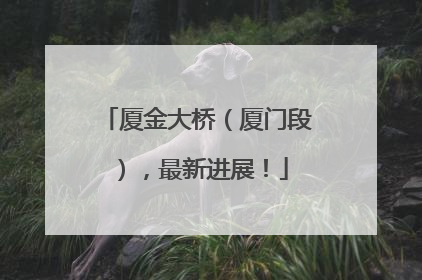 厦金大桥（厦门段），最新进展！