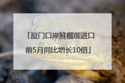 厦门口岸鲜榴莲进口 前5月同比增长10倍