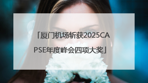 厦门机场斩获2025CAPSE年度峰会四项大奖