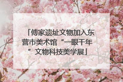 傅家遗址文物加入东营市美术馆“一眼千年”文物科技美学展