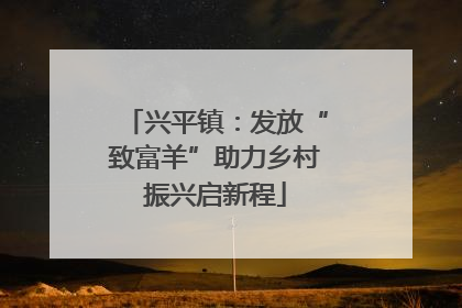 兴平镇：发放“致富羊”助力乡村振兴启新程