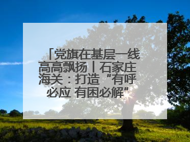 党旗在基层一线高高飘扬丨石家庄海关：打造“有呼必应 有困必解”关企互动新生态
