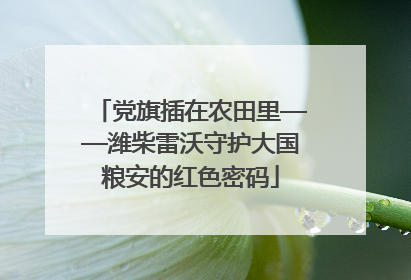 党旗插在农田里——潍柴雷沃守护大国粮安的红色密码
