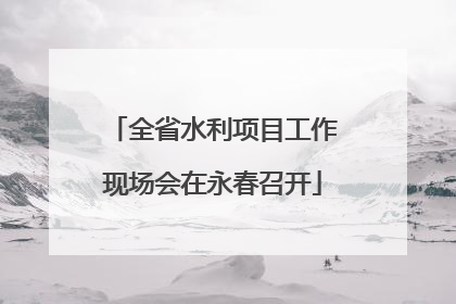 全省水利项目工作现场会在永春召开