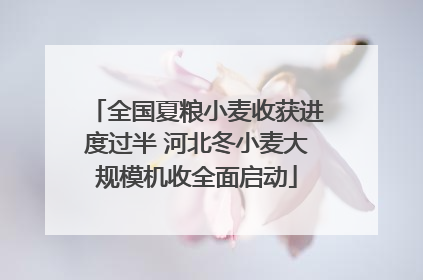 全国夏粮小麦收获进度过半 河北冬小麦大规模机收全面启动
