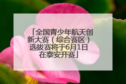 全国青少年航天创新大赛（综合赛区）选拔赛将于6月1日在泰安开赛
