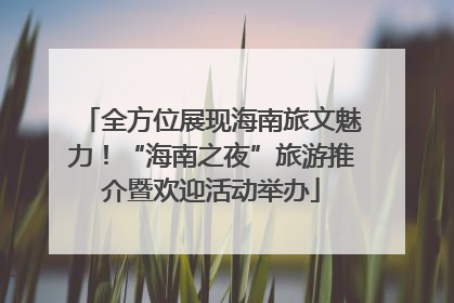 全方位展现海南旅文魅力！“海南之夜”旅游推介暨欢迎活动举办
