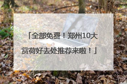 全部免费！郑州10大赏荷好去处推荐来啦！