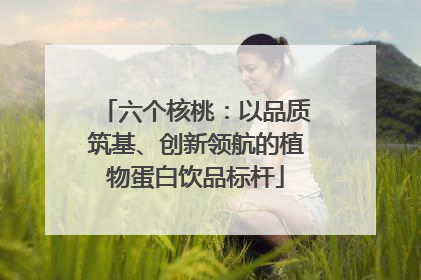 六个核桃：以品质筑基、创新领航的植物蛋白饮品标杆
