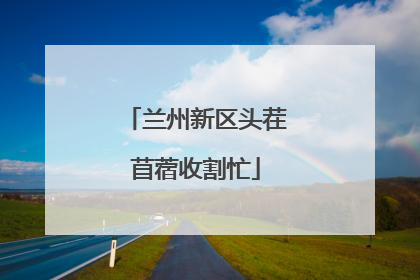 兰州新区头茬苜蓿收割忙