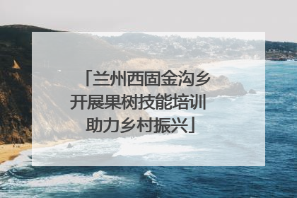 兰州西固金沟乡开展果树技能培训 助力乡村振兴