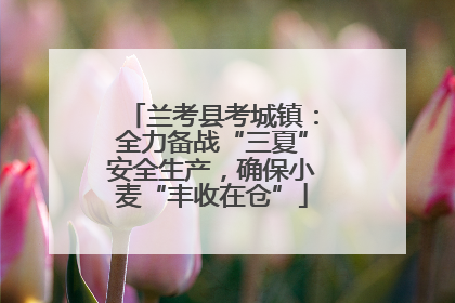 兰考县考城镇：全力备战“三夏”安全生产，确保小麦“丰收在仓”