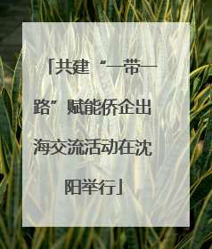 共建“一带一路”赋能侨企出海交流活动在沈阳举行