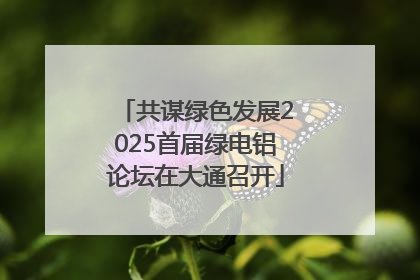共谋绿色发展2025首届绿电铝论坛在大通召开