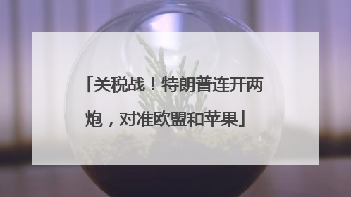 关税战！特朗普连开两炮，对准欧盟和苹果