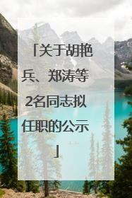 关于胡艳兵、郑涛等2名同志拟任职的公示