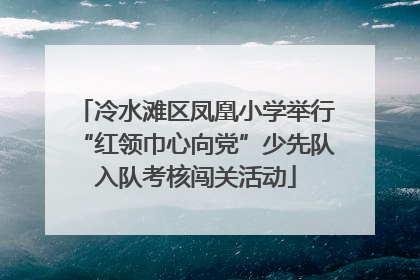 冷水滩区凤凰小学举行“红领巾心向党”少先队入队考核闯关活动