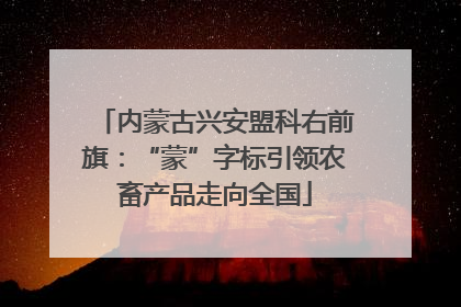 内蒙古兴安盟科右前旗：“蒙”字标引领农畜产品走向全国
