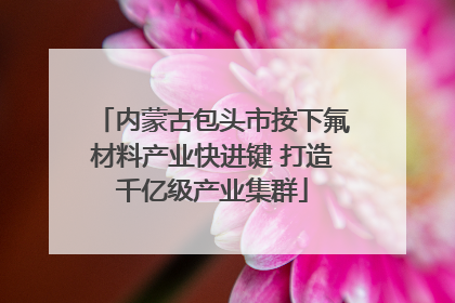 内蒙古包头市按下氟材料产业快进键 打造千亿级产业集群