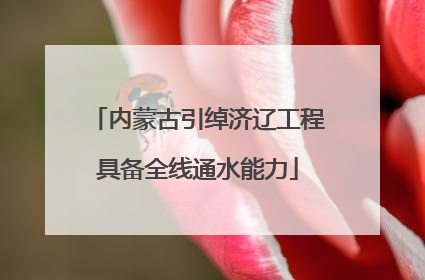 内蒙古引绰济辽工程具备全线通水能力