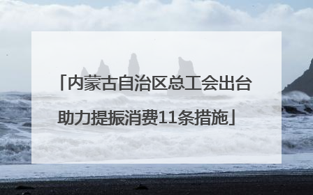 内蒙古自治区总工会出台助力提振消费11条措施