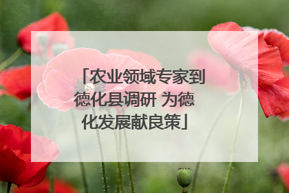 农业领域专家到德化县调研 为德化发展献良策