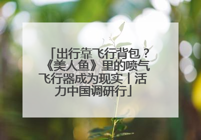 出行靠飞行背包？《美人鱼》里的喷气飞行器成为现实丨活力中国调研行