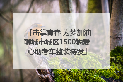击掌青春 为梦加油 聊城市城区1500辆爱心助考车整装待发