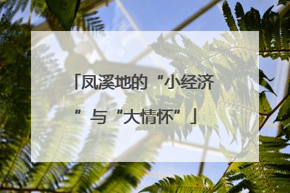 凤溪地的“小经济”与“大情怀”