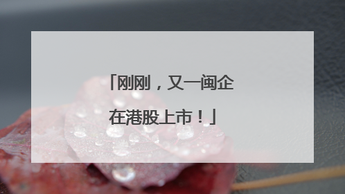 刚刚，又一闽企在港股上市！