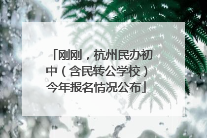 刚刚，杭州民办初中（含民转公学校）今年报名情况公布