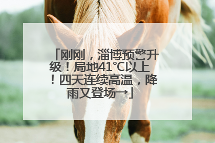 刚刚，淄博预警升级！局地41℃以上！四天连续高温，降雨又登场→