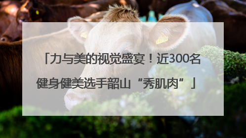 力与美的视觉盛宴！近300名健身健美选手韶山“秀肌肉”