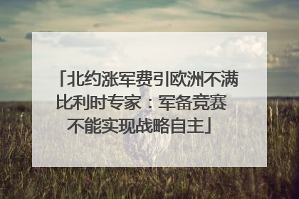北约涨军费引欧洲不满 比利时专家：军备竞赛不能实现战略自主
