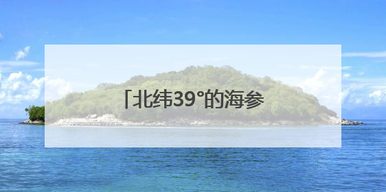 北纬39°的海参故事：上品堂春捕季背后的生态密码