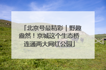 北京号最精彩｜野趣盎然！京城这个生态桥连通两大网红公园
