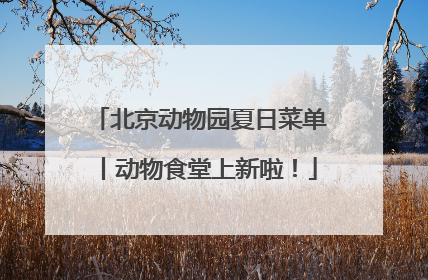 北京动物园夏日菜单丨动物食堂上新啦！