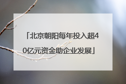 北京朝阳每年投入超40亿元资金助企业发展
