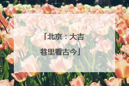 北京：大吉巷里看古今