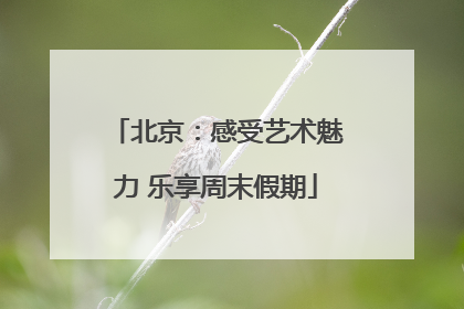 北京：感受艺术魅力 乐享周末假期