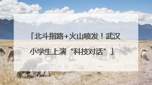 北斗指路+火山喷发！武汉小学生上演“科技对话”