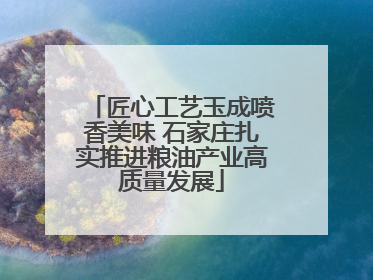 匠心工艺玉成喷香美味 石家庄扎实推进粮油产业高质量发展